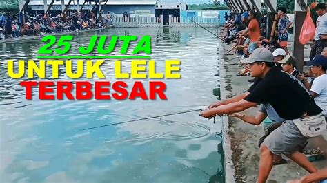 Lomba Mancing Ikan Lele Terbesar Full Master Youtube