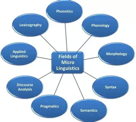 Morphology Linguistics Syntax English Course Phonology Fields