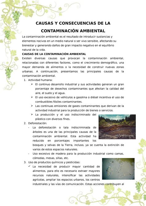 Causas Y Consecuencias DE LA Contaminacion Ambiental CAUSAS Y