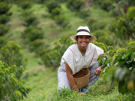 A trip to the origin of Colombian coffee | Colombia Country Brand