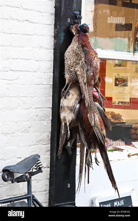 Traditional Butchers Shop With Hanging Pheasants Stock Photo Alamy