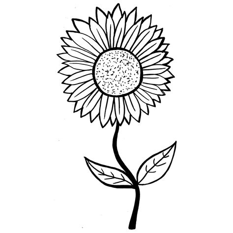 Chrysanthemum Coloring Page at GetColorings.com | Free printable