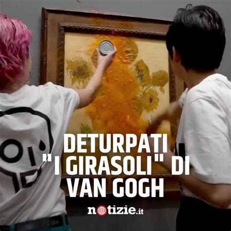 Zuppa Contro Il Quadro Girasoli Di Van Gogh La Protesta Dei