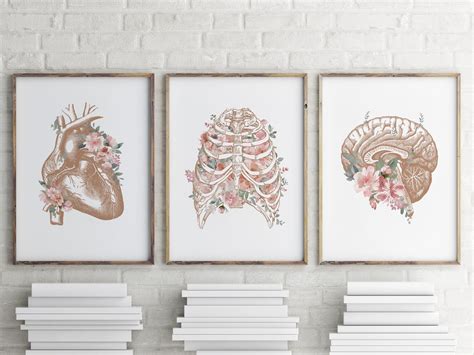 Set of 9 Anatomy Art, Medical Art, Anatomy Poster, Floral Anatomy Wall ...