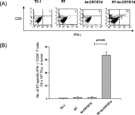 Intracellular Cytokine Staining Followed By Flow Cytometry Analysis To Download Scientific