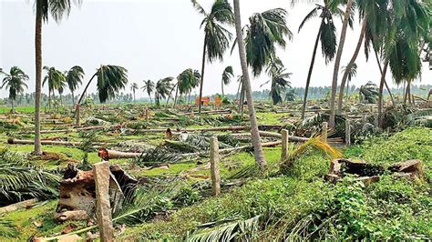 Cyclone Gaja Victim Slapped And Humiliated By Authorities Tirunelveli