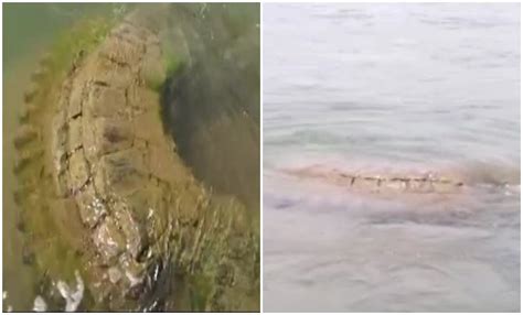 500-year-old temple resurfaces in Odisha's Mahanadi river | 500-year ...