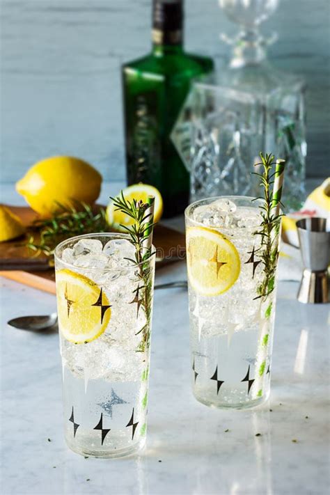 Rosemary Lemon Gin Fizz Alcoholic Cocktail Stock Image Image Of Fizzy