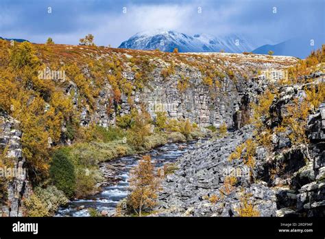 River Store Ula, Canyon, Autumn, Rondane National Park, Norway Stock ...