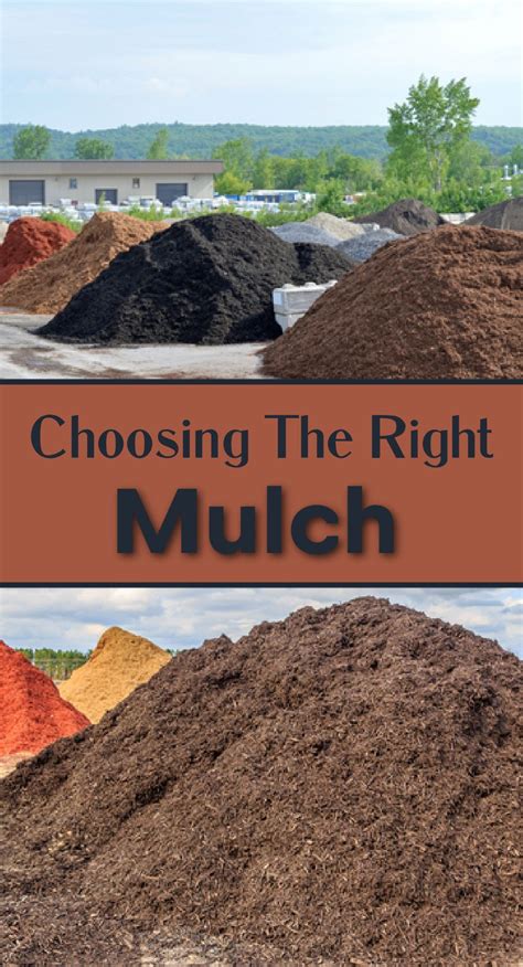 Mulch yard – Artofit