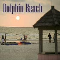 Dolphins at Dolphin Beach Resort?