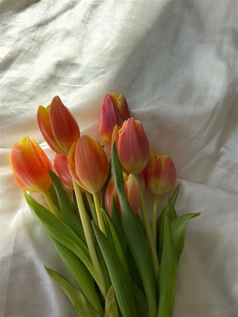 Pin By Astriel Morton On Wallpapers In Tulips In Vase Boquette