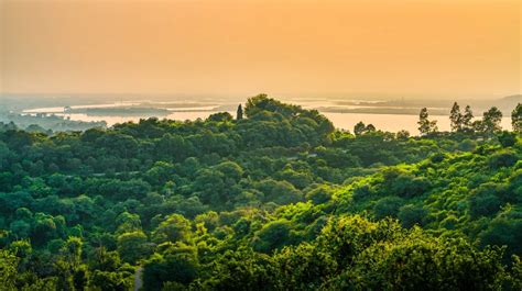 Los secretos de la selva amazónica una conmovedora exploración de la