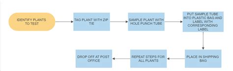 M F Sex Testing Collection Kit ChiTown Seeds