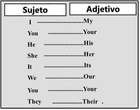 20 Oraciones Con My Your His Her Its Our Your Their Brainlylat