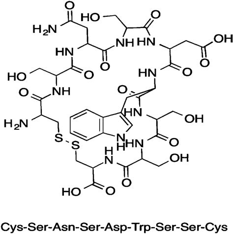 Tumor Blood Vessel And M Type Macrophage Targeting Peptide And