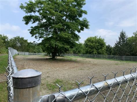Off-leash dog park opens in St. Stephen | Country 94