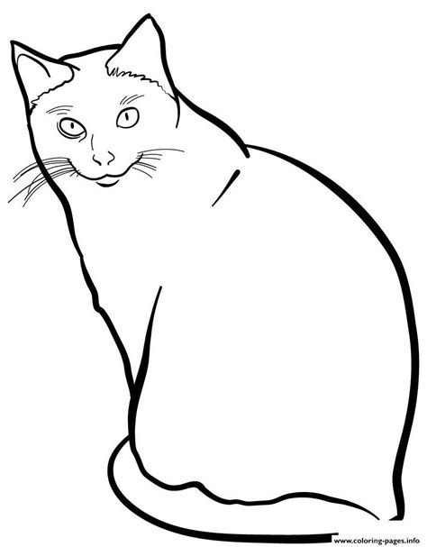 Siamese Cat Coloring page Printable