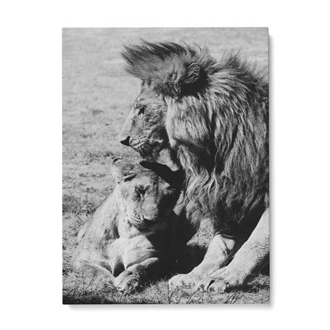 Cadre Lion Et Lionne Noir Et Blanc Off Pure