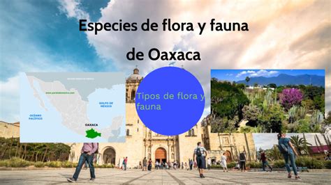 flora y fauna de oaxaca by Emiliano Arturo May Lázaro on Prezi