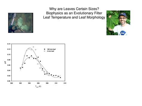 Ppt Dennis Baldocchi Biometeorology Lab Espm University Of California