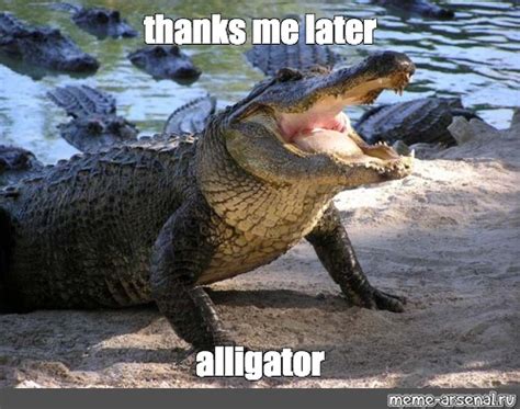 Мем: "thanks me later alligator" - Все шаблоны - Meme-arsenal.com