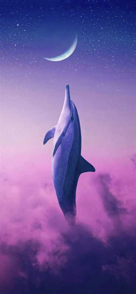 Dolphin Wallpaper - iXpap