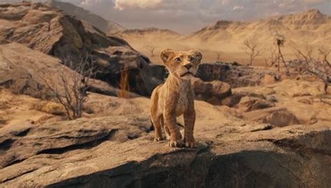 Mufasa The Lion King 2024 Teaser Trailer Barry Jenkins Prequel Film To The Lion King R