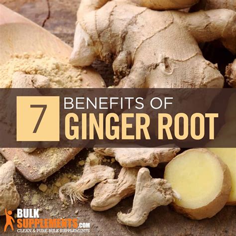 Ginger Root Benefits Side Effects And Dosage