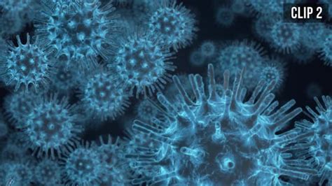 Virus Background - HD, Motion Graphics | VideoHive