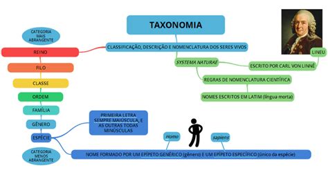 Mapa Mental Sobre Taxonomia Study Maps Images Porn Sex Picture Hot