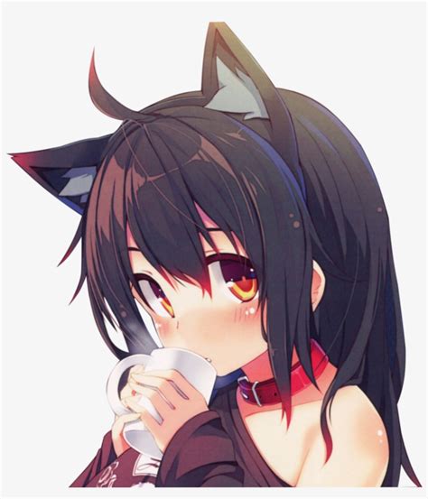 Anime Neko With Black Hair And Gold Eyes Top 15 Anime Characters With Different Colored Eyes