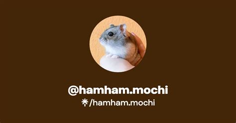 Hamham Mochi Instagram TikTok Linktree