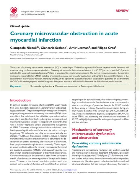 Coronary Microvascular Obstruction in Acute Myocardial Infarction | PDF ... 
