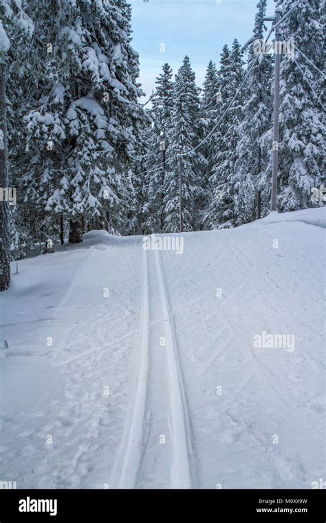 Winter in Sweden Stock Photo - Alamy