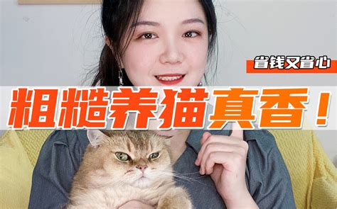 粗糙养猫真香！你越会偷懒，猫越健康快乐！ 哔哩哔哩 Bilibili