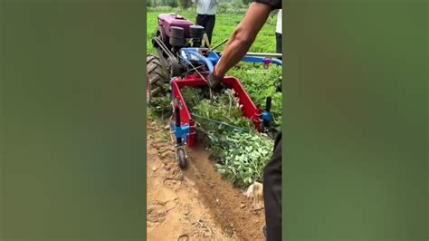 Groundnut Harvesting Machine Youtube