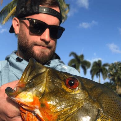 The Best Peacock Bass Fishing Guides In Florida