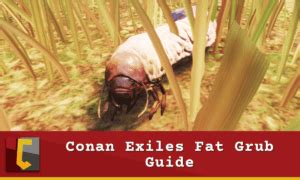 Conan Exiles Hardened Leather Guide Conan Fanatics