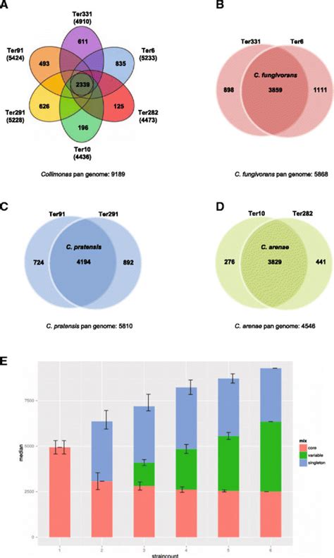 The Pan Core Genome Of Collimonas Strains The Venn Diagrams Illustrate