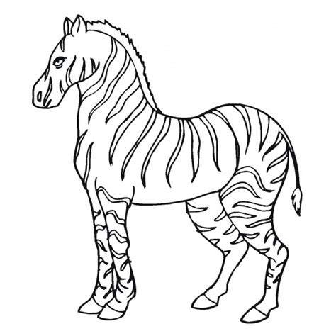 Desenho De Zebras Para Colorir Atividades Educativas