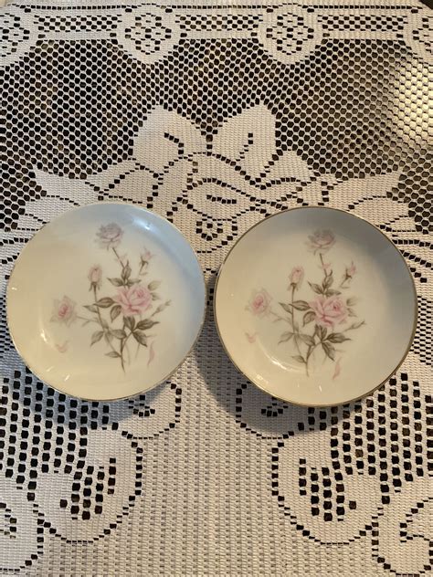 Vintage Set Of 2 Borsumy Fine China Japan Delicia Rose 5 12 Fruit