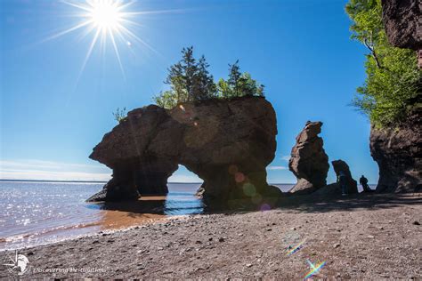 Discovering The Hopewell Rocks