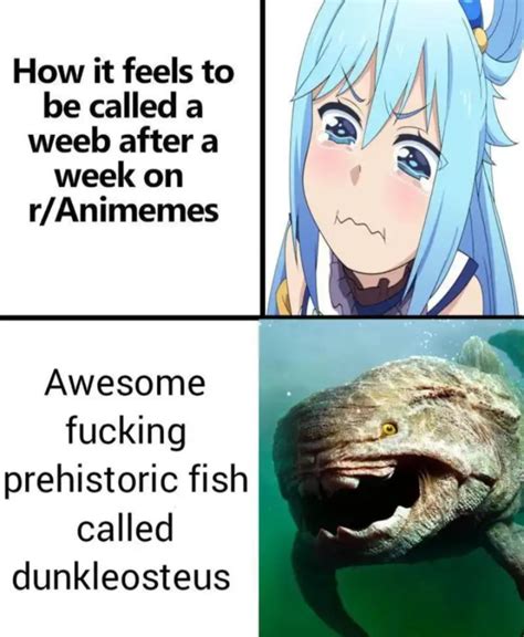 Dunkleosteus appreciation post : PrehistoricMemes