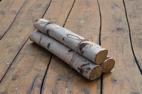 White Birch Logs White Birch Logs Rustic Craft Supply Etsy