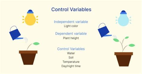 A Detailed Guide On Control Variables What Why And How Voxco