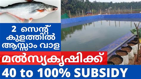 Subsidy for Fish Farming in Kerala - Onyx Aqua Farm