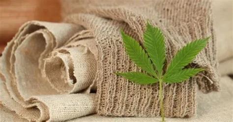 Hemp Fibers Latest Price Manufacturers Suppliers And Wholesalers In India