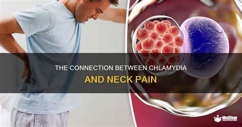 The Connection Between Chlamydia And Neck Pain Medshun