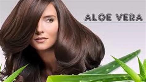 Look What Happens If You Put Aloe Vera In Your Hair Youtube